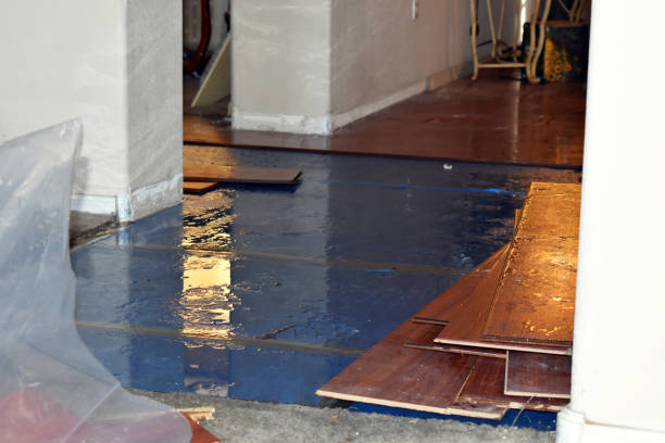 Professional Sewage Cleanup technician working in Trenton, AL
